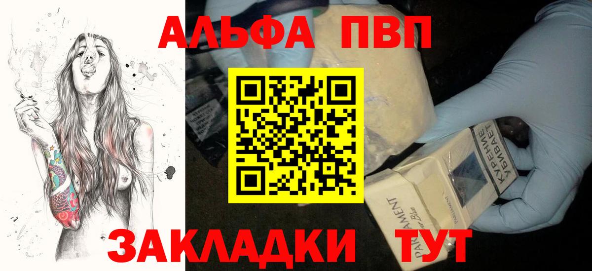 Альфа ПВП СК Туапсе